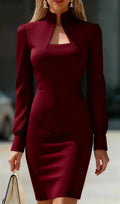 Elegant Long Sleeve Bodycon Dress Chic Fall/Winter Office & Party Midi Dress for Women