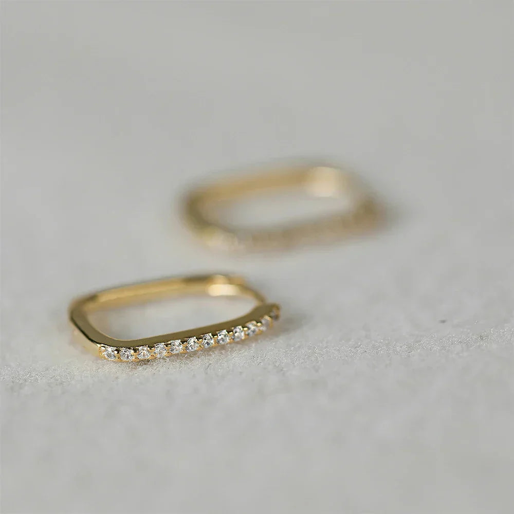 925 Sterling Silver Ear Buckle Snake Twisted Round Circle Microinlaid Zirconia Hoop Earrings For Women Pendientes Aro Rojos