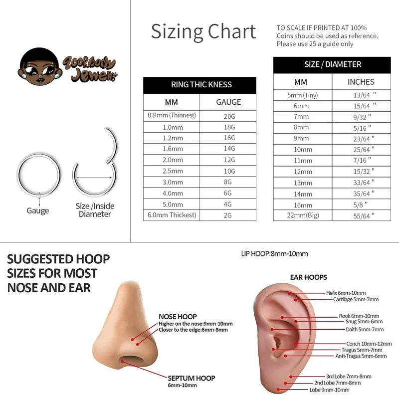 2PCS G23 Titanium Earring High Quality Hoop CZ Hinged Segment Round Nose Ring for Women Ear Cartilage Helix Piercing Anodizing