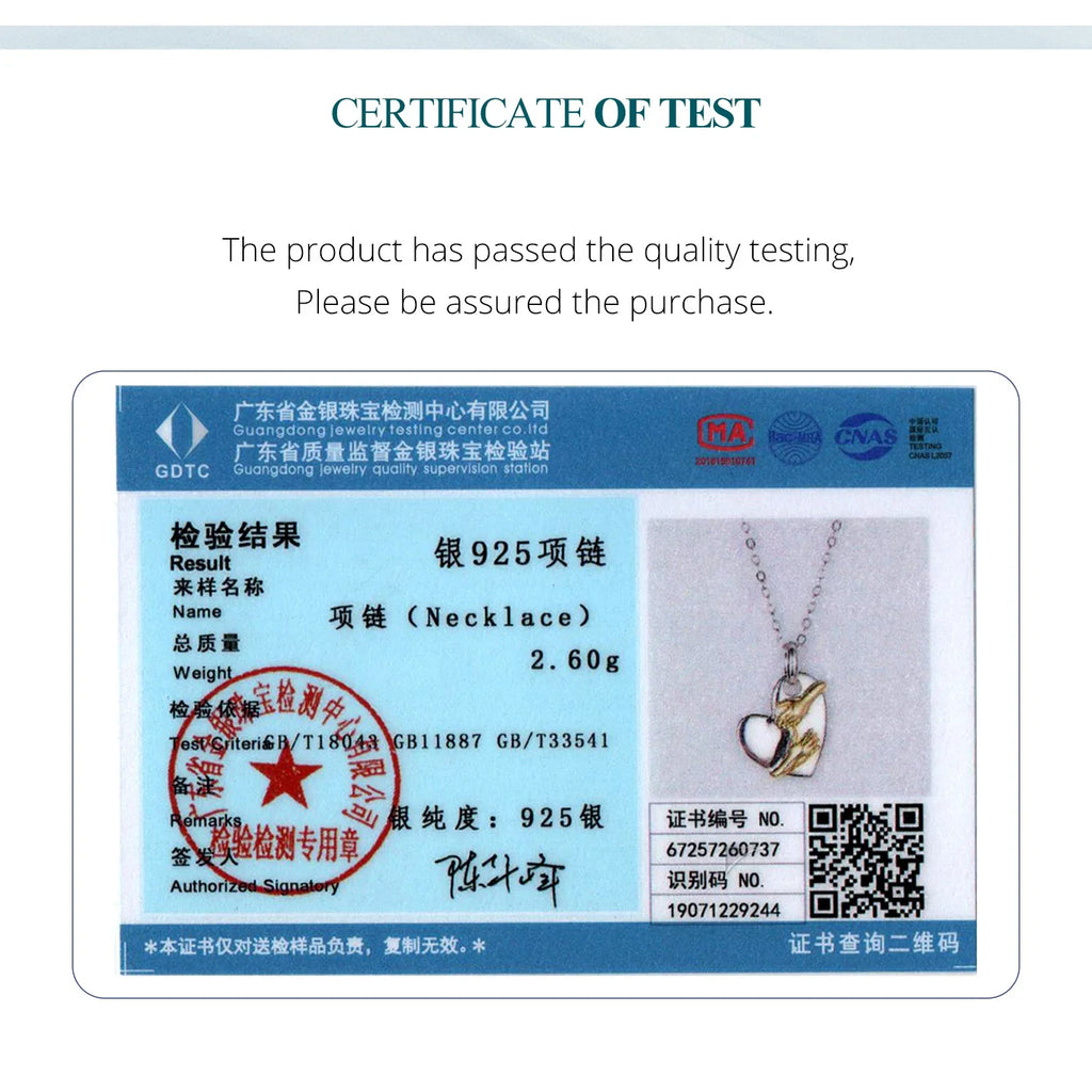 925 Sterling Silver Two-tones Hug Necklace Heart Pendant Chain Necklace for Women Mother's Day Gift Guard Jewelry
