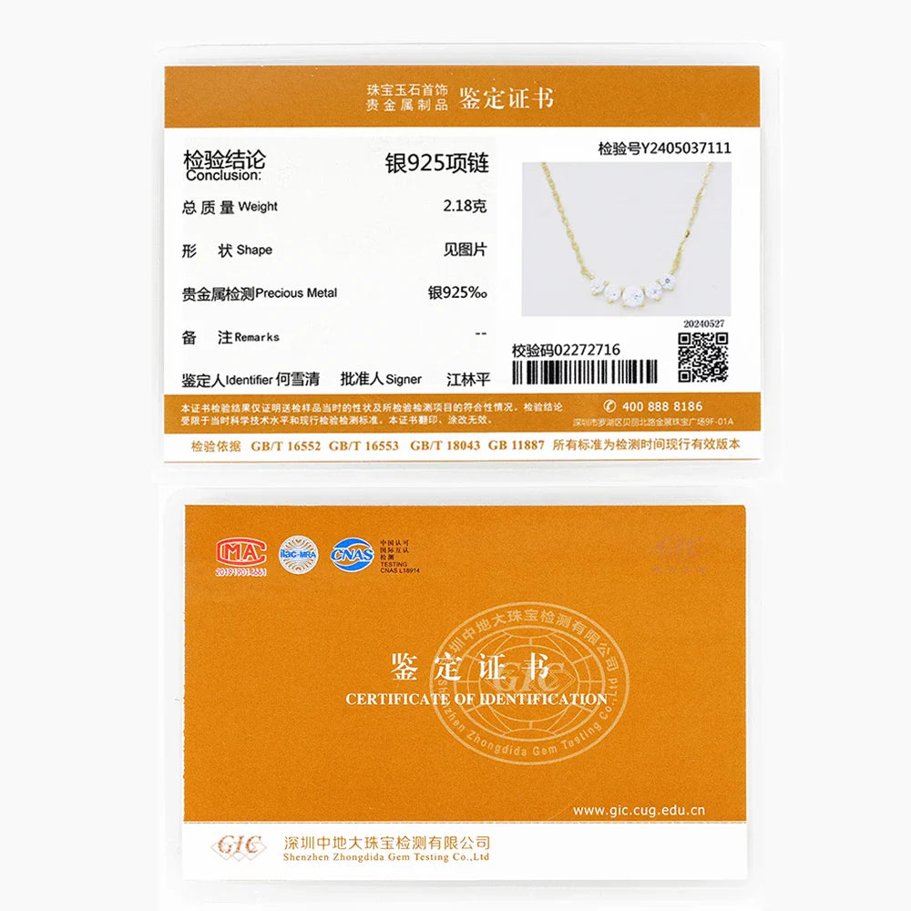 Moissanite Pendant Necklace 925 Silver Original Certified Chain For Women Exquisite Cluster Necklaces Anniversary Jewelry