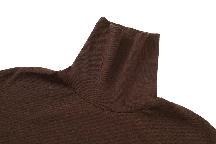 2024 winter turteneck thicken ribbing dress soft and comfortable basic turn-down collar maxi dress ( Ship out in 1 day)