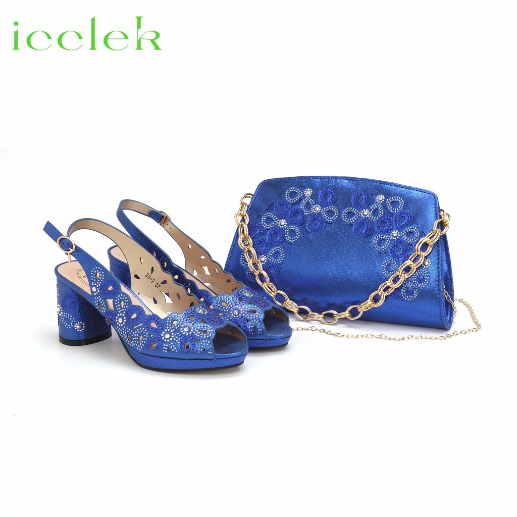 Women Shoes Matching Bag Set to Match in Coffee Color