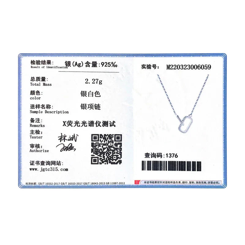 Romantic Lock Design Sparkling Clear CZ Necklace 925 Sterling Silver Chain Necklace For Women Fine Jewelry Wedding Gift