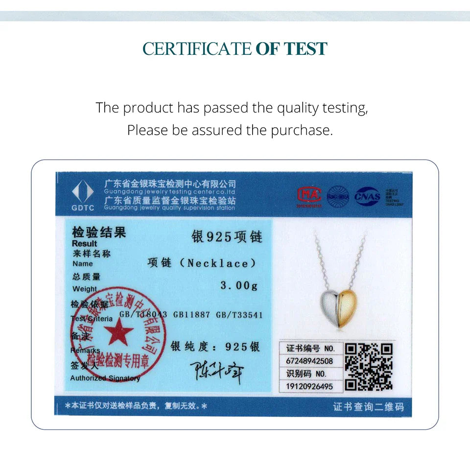 Gold Plated Heart Pendant Necklace for Women, 925 Sterling Silver Couple Heart Fashion Waterproof Metal Daily Jewelry