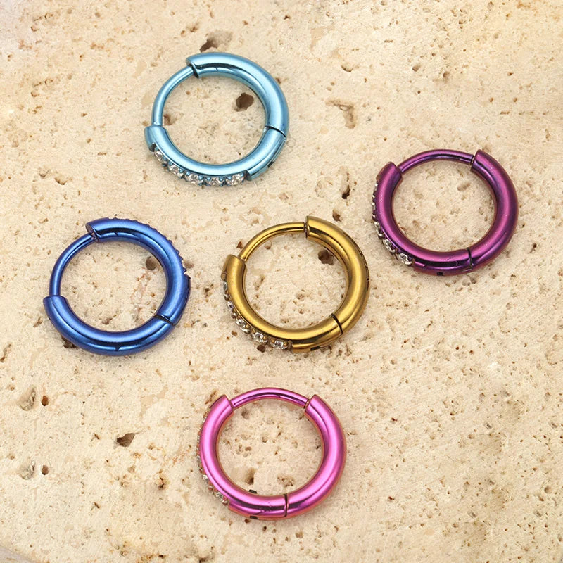 2PCS G23 Titanium Earring High Quality Hoop CZ Hinged Segment Round Nose Ring for Women Ear Cartilage Helix Piercing Anodizing