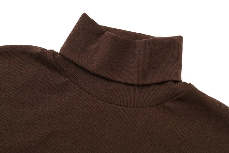2024 winter turteneck thicken ribbing dress soft and comfortable basic turn-down collar maxi dress ( Ship out in 1 day)