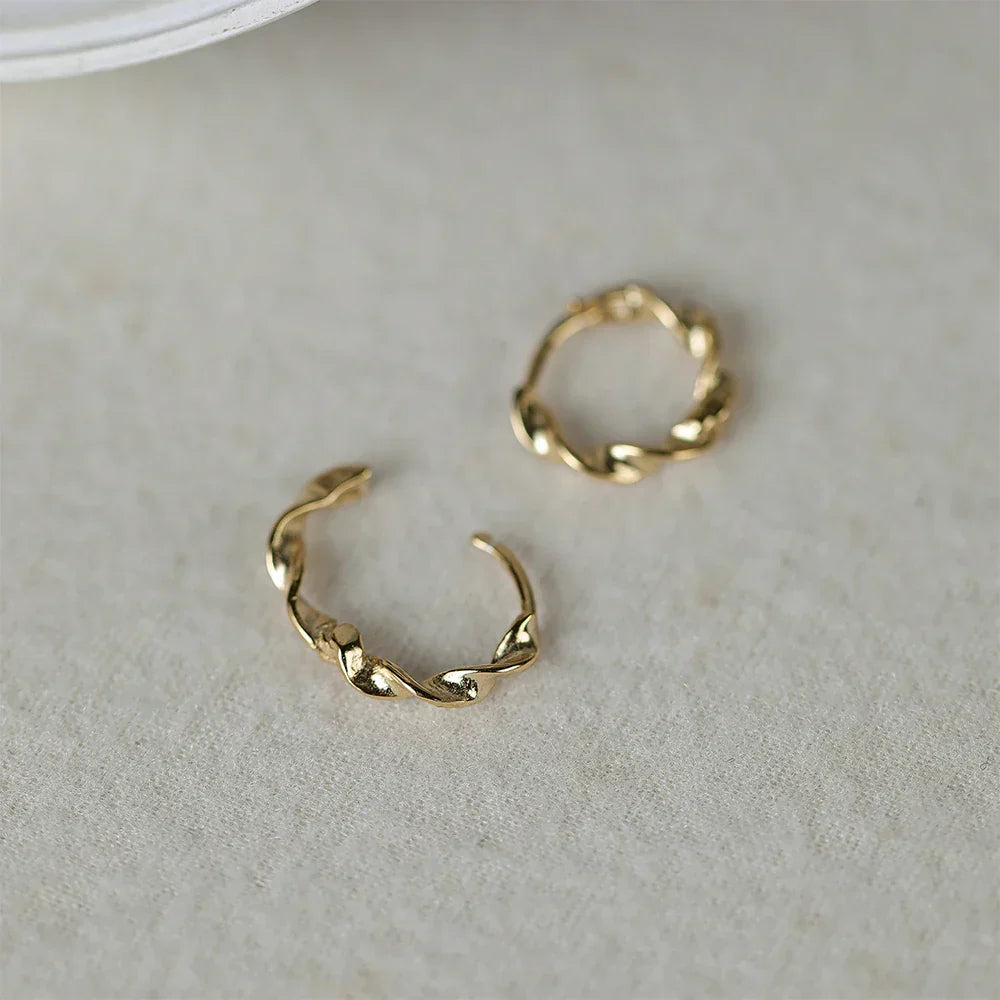 925 Sterling Silver Ear Buckle Snake Twisted Round Circle Microinlaid Zirconia Hoop Earrings For Women Pendientes Aro Rojos
