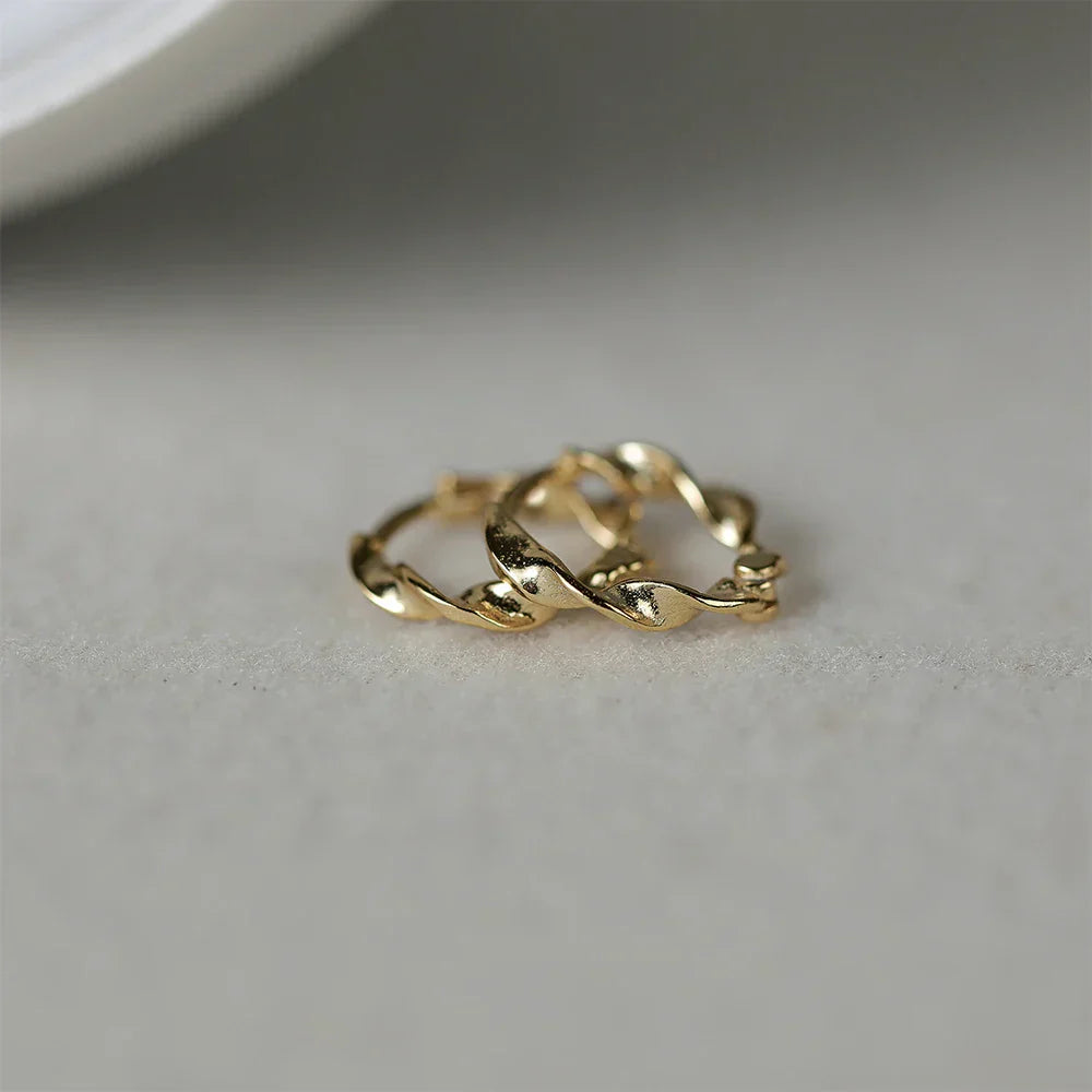925 Sterling Silver Ear Buckle Snake Twisted Round Circle Microinlaid Zirconia Hoop Earrings For Women Pendientes Aro Rojos